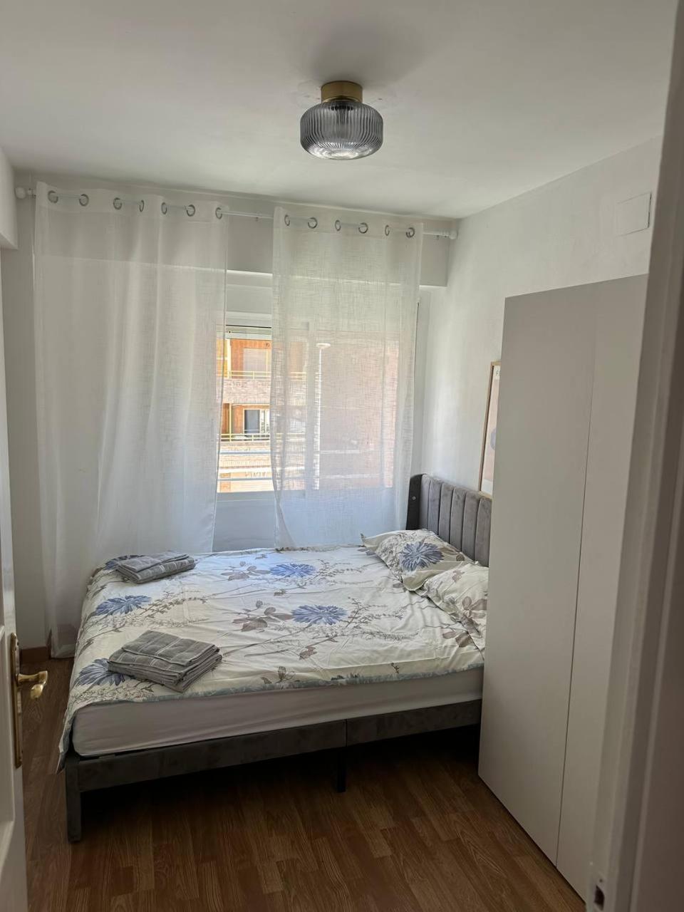 Seashell In Apartament