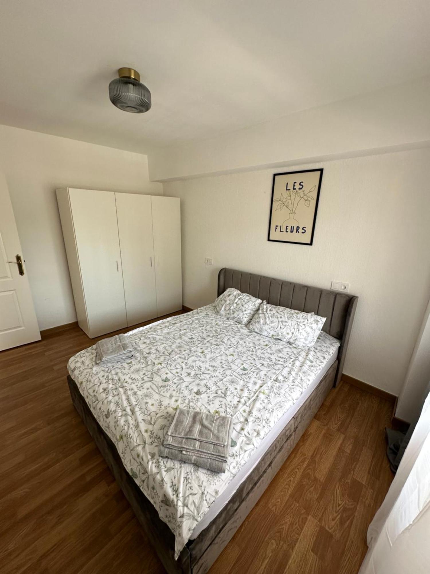 Seashell In Apartament